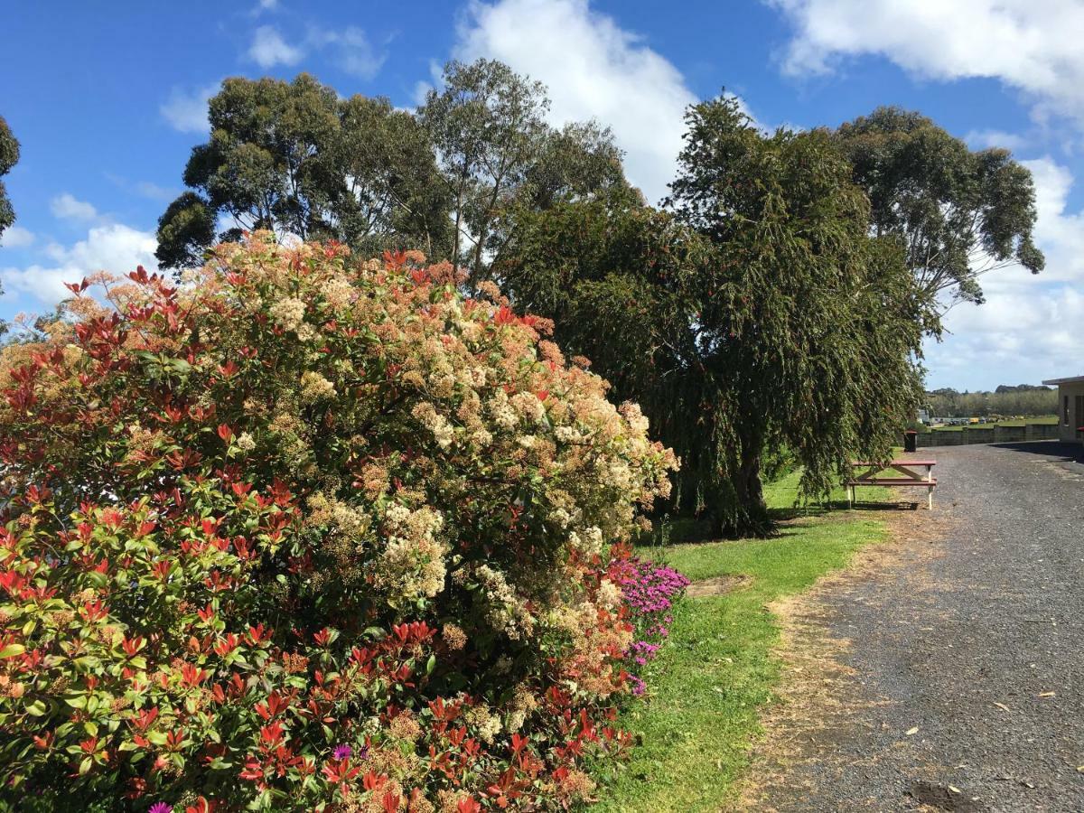 Limestone Coast Tourist Park Mount Gambier Kültér fotó